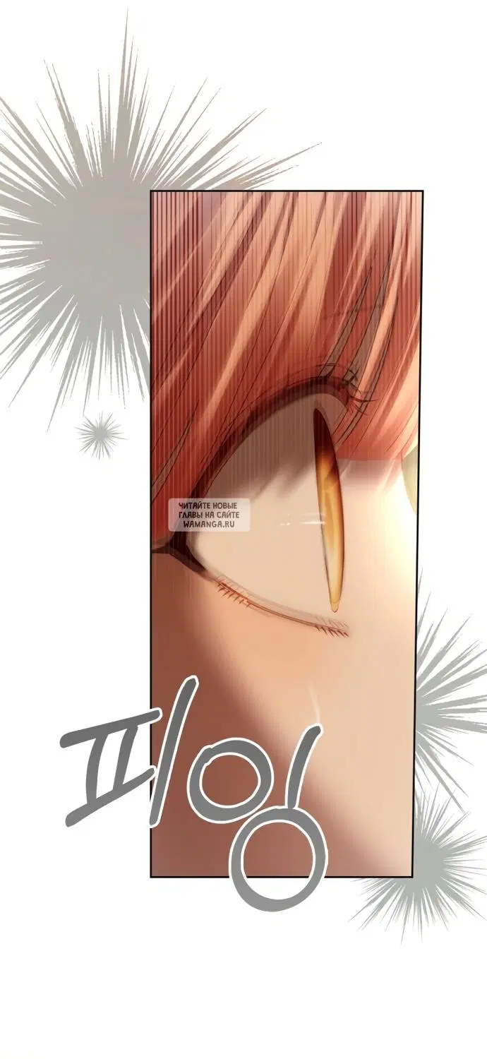 Page 46.000