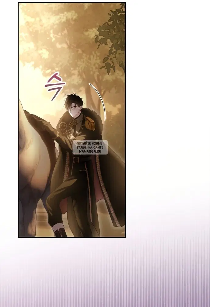 Page 41.000