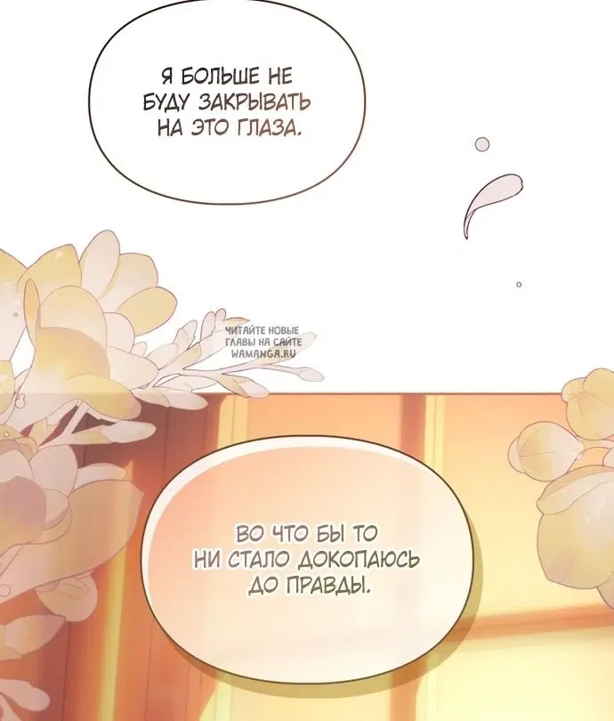 Page 61.000