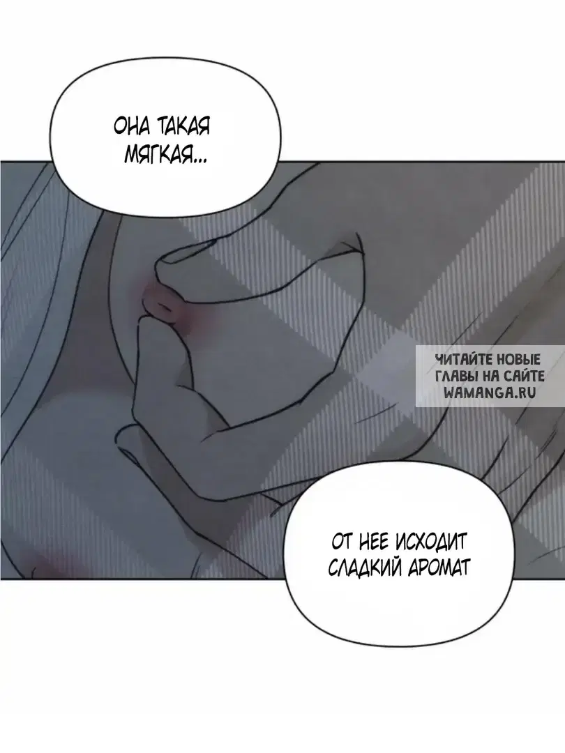 Page 36.000