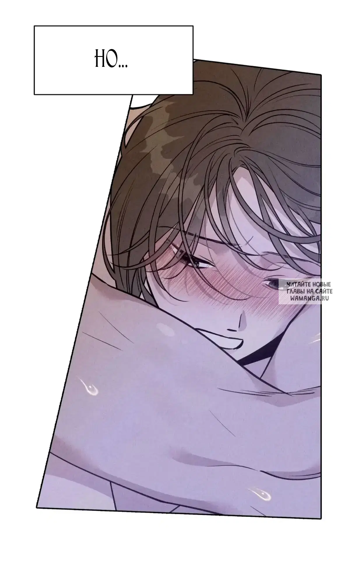 Page 31.000