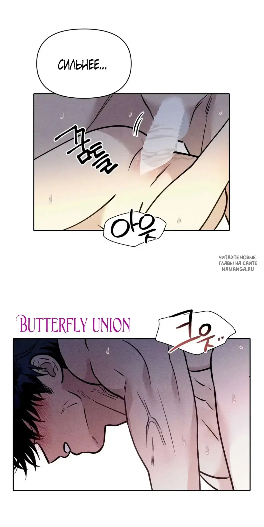 Page 44.000