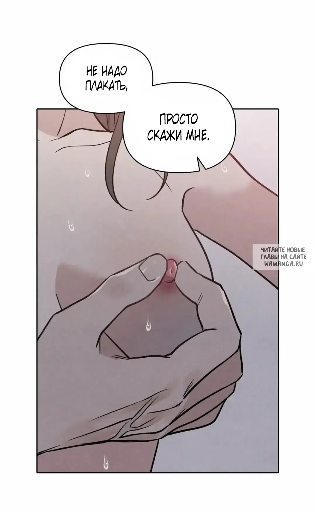 Page 51.000