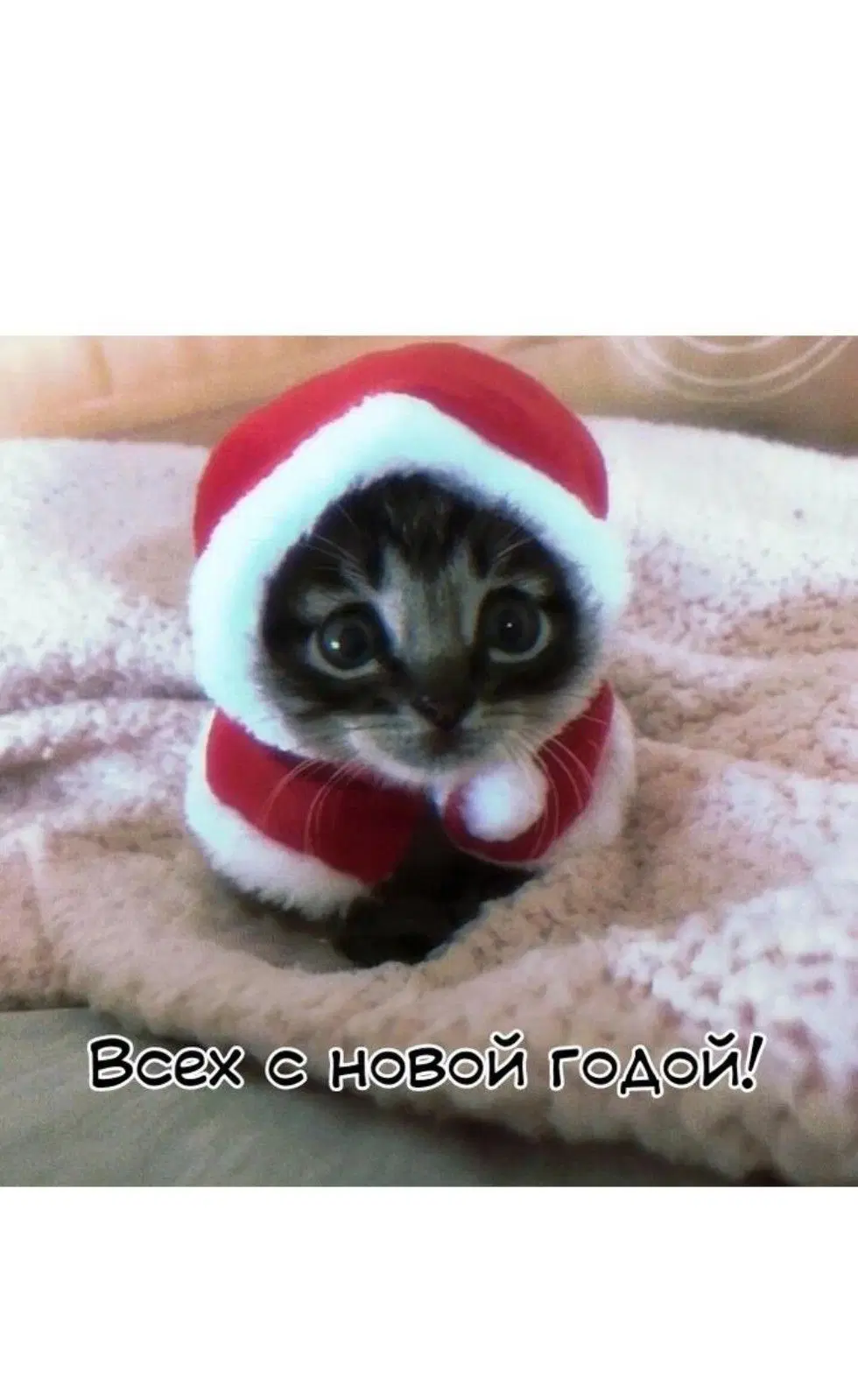 Page 13.001