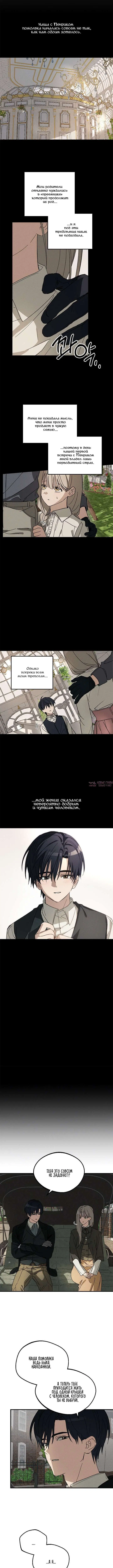Page 3.000000000