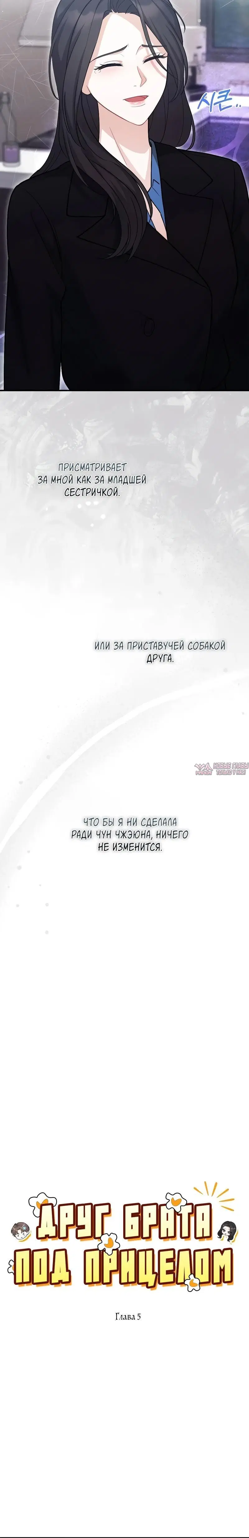 «Друг брата под прицелом», глава 5, страница 5.001000000