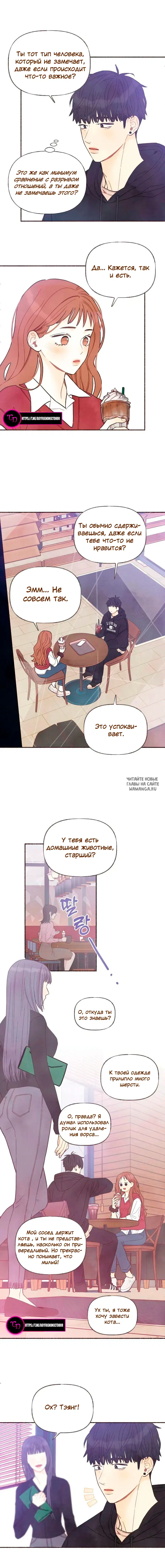 Page 8.000