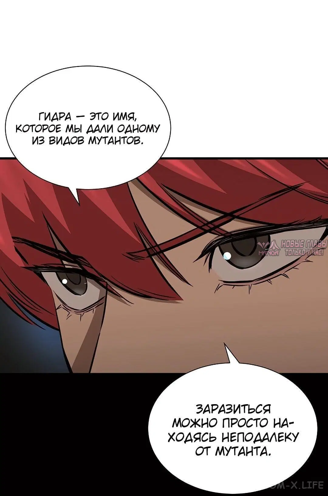 Page 51.000