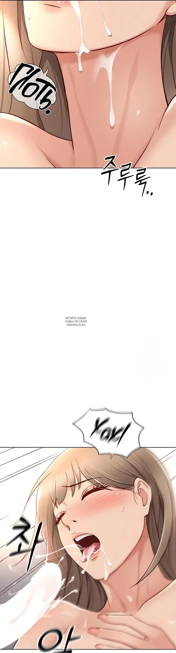 Page 31.000