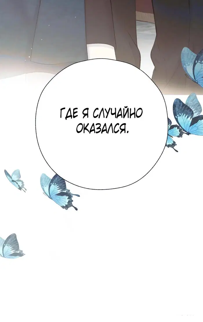 Page 36.000