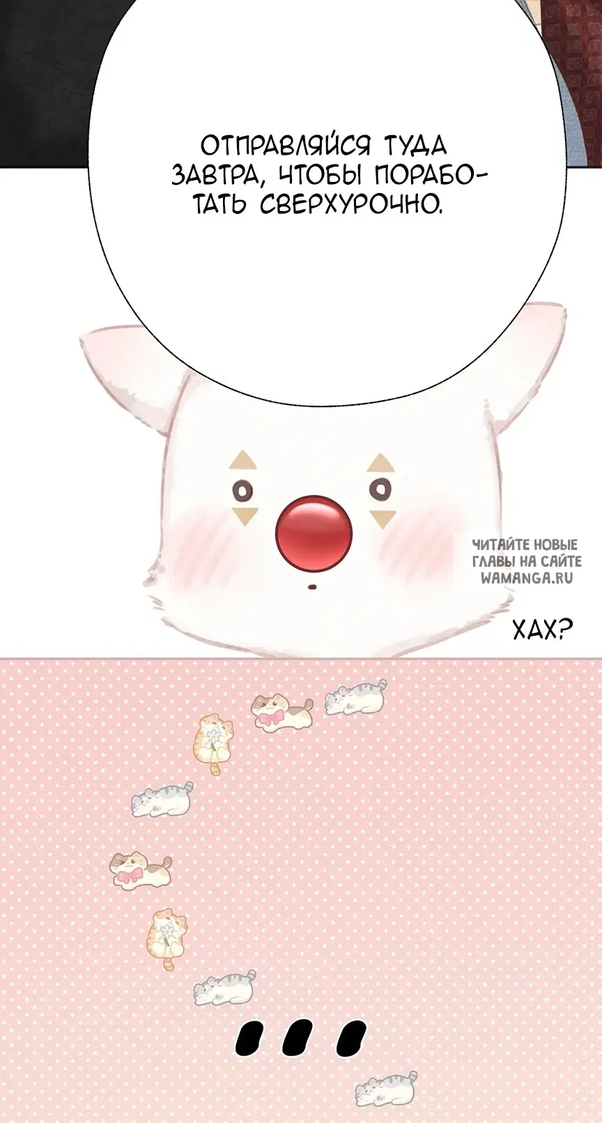 Page 43.000