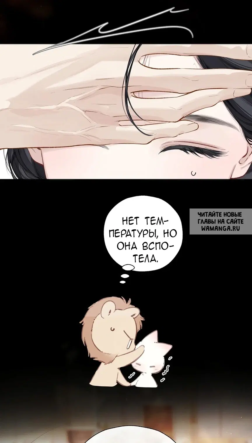 Page 43.000