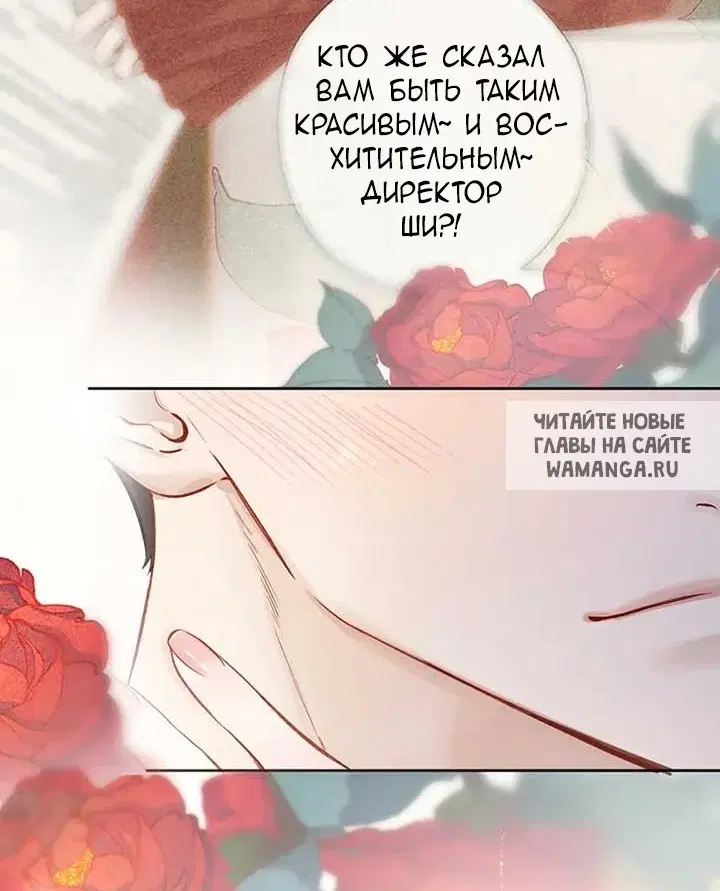 Page 50.000