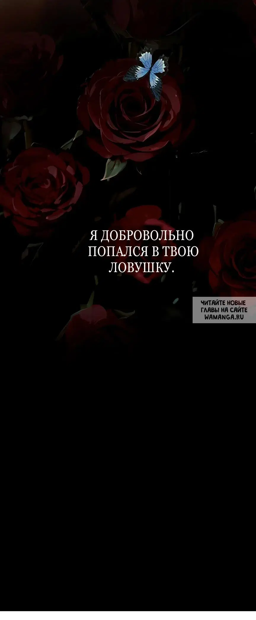 Page 51.000