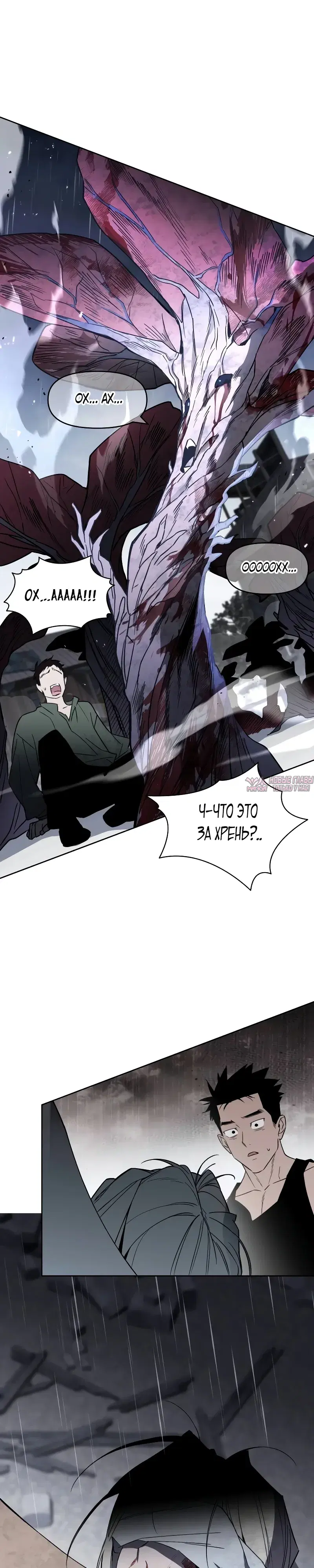 Page 24.000