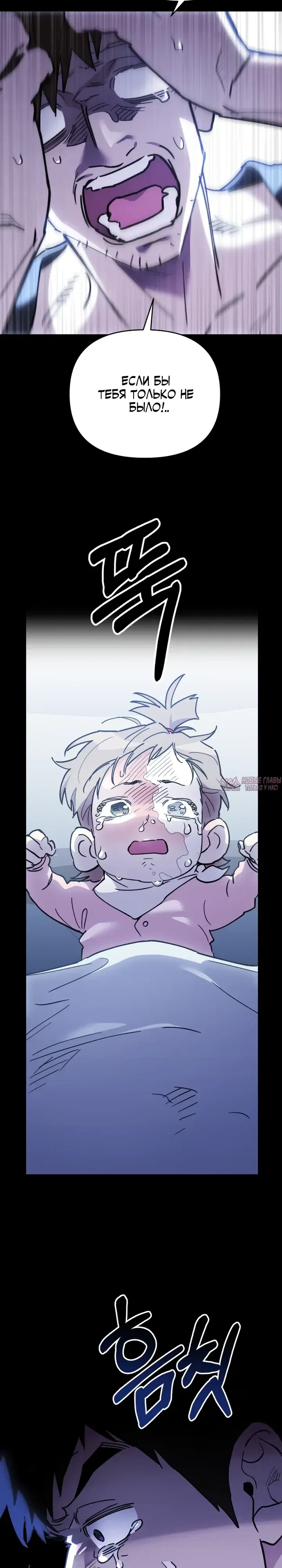 Page 31.000
