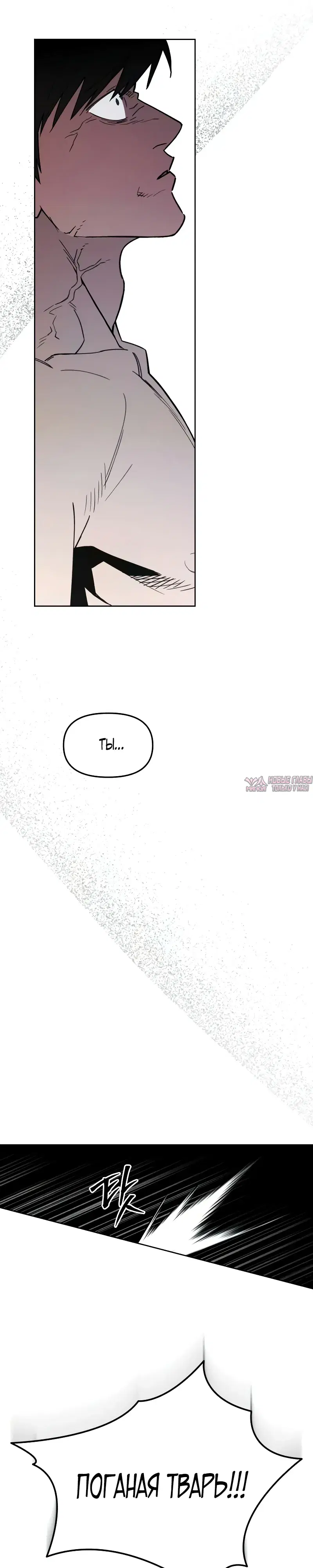 Page 31.000