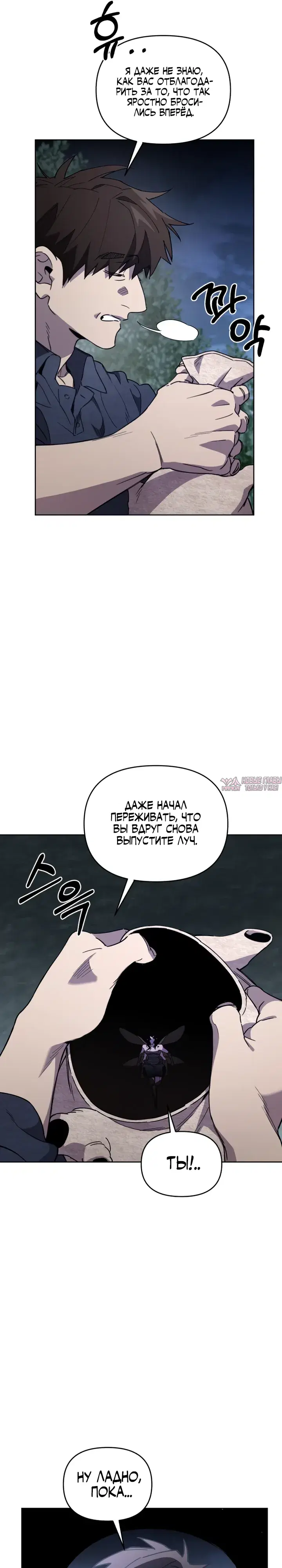 Page 31.000