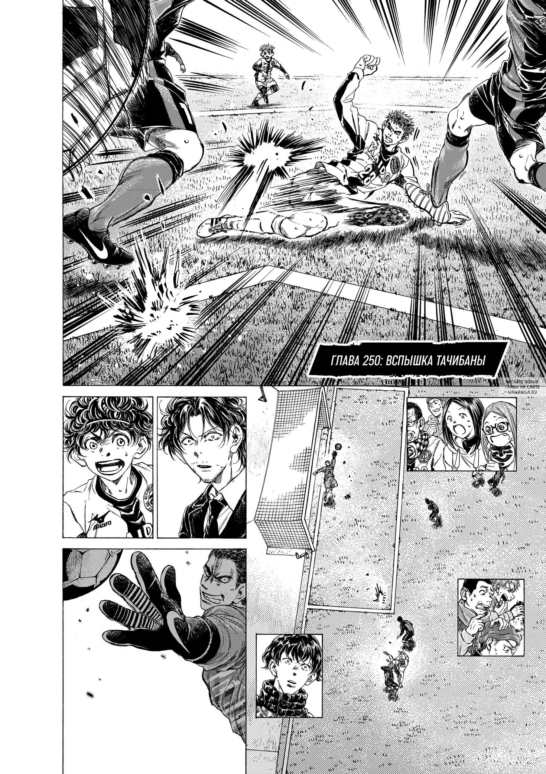 Page 3.000