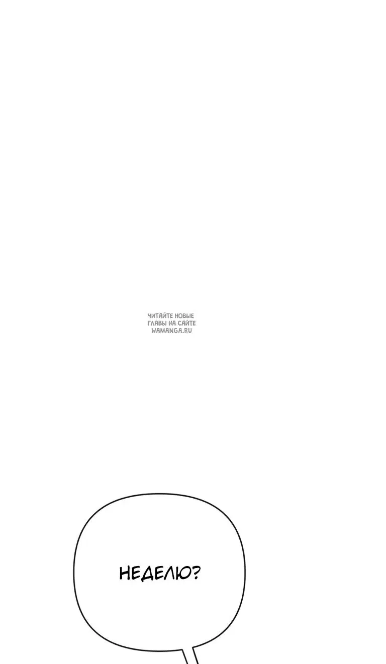 Page 53.000