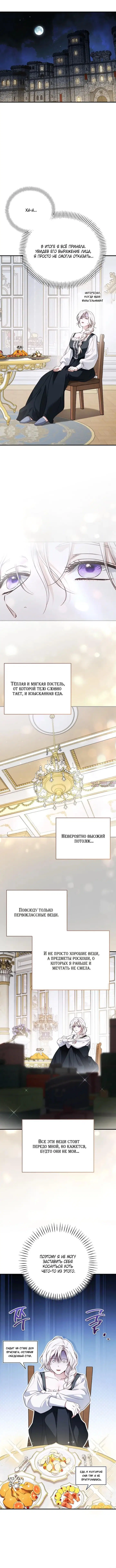 «Мой муж определённо был паладином», глава 9, страница 12.000000000