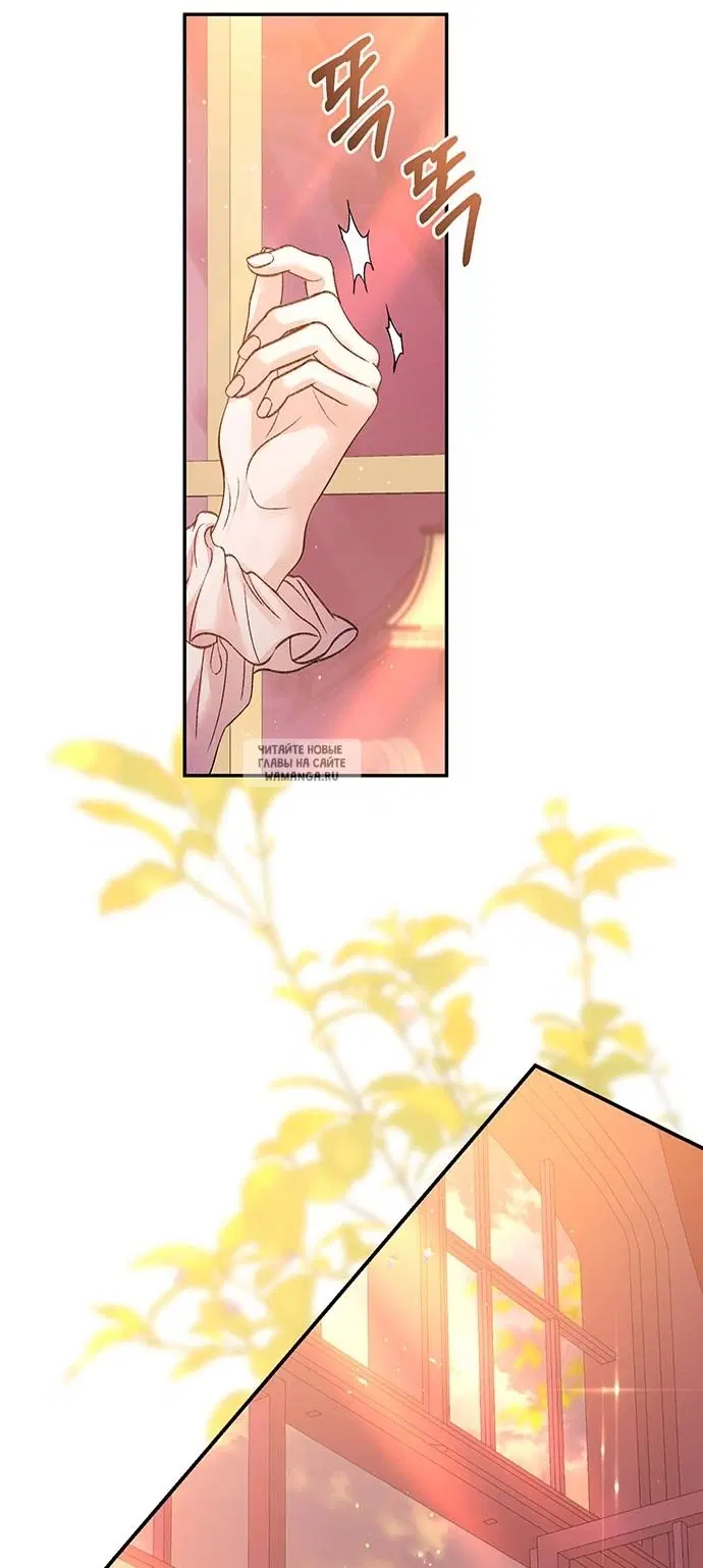 Page 50.000
