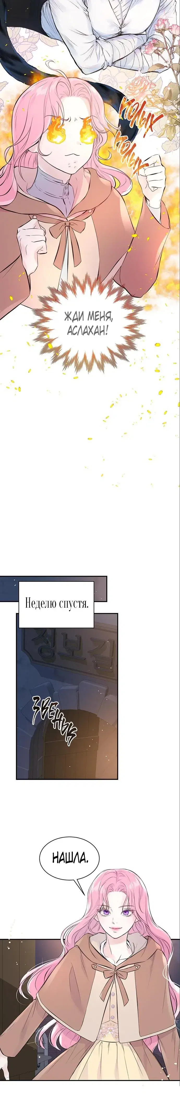 Page 5.001