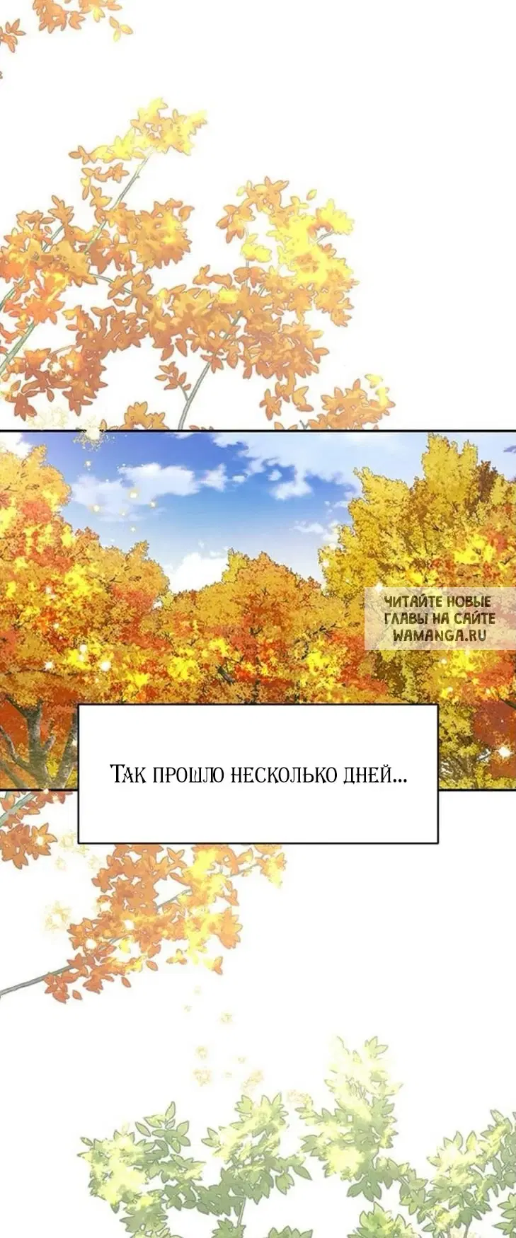Page 60.000