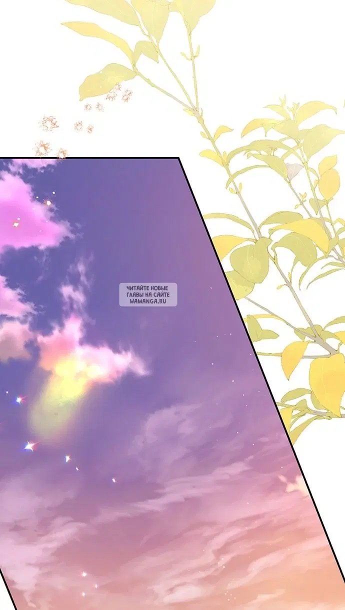 Page 61.000