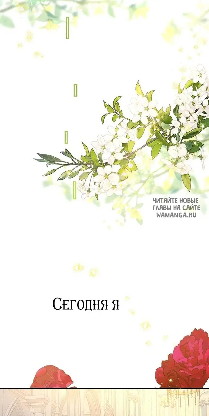 Page 75.000