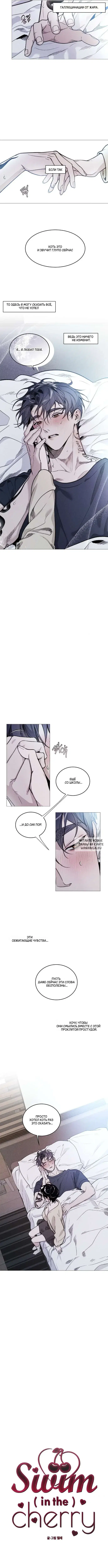 Page 3.000