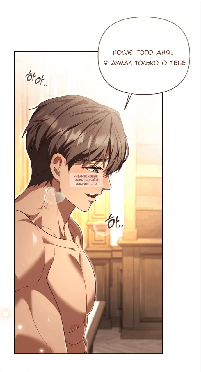Page 31.000