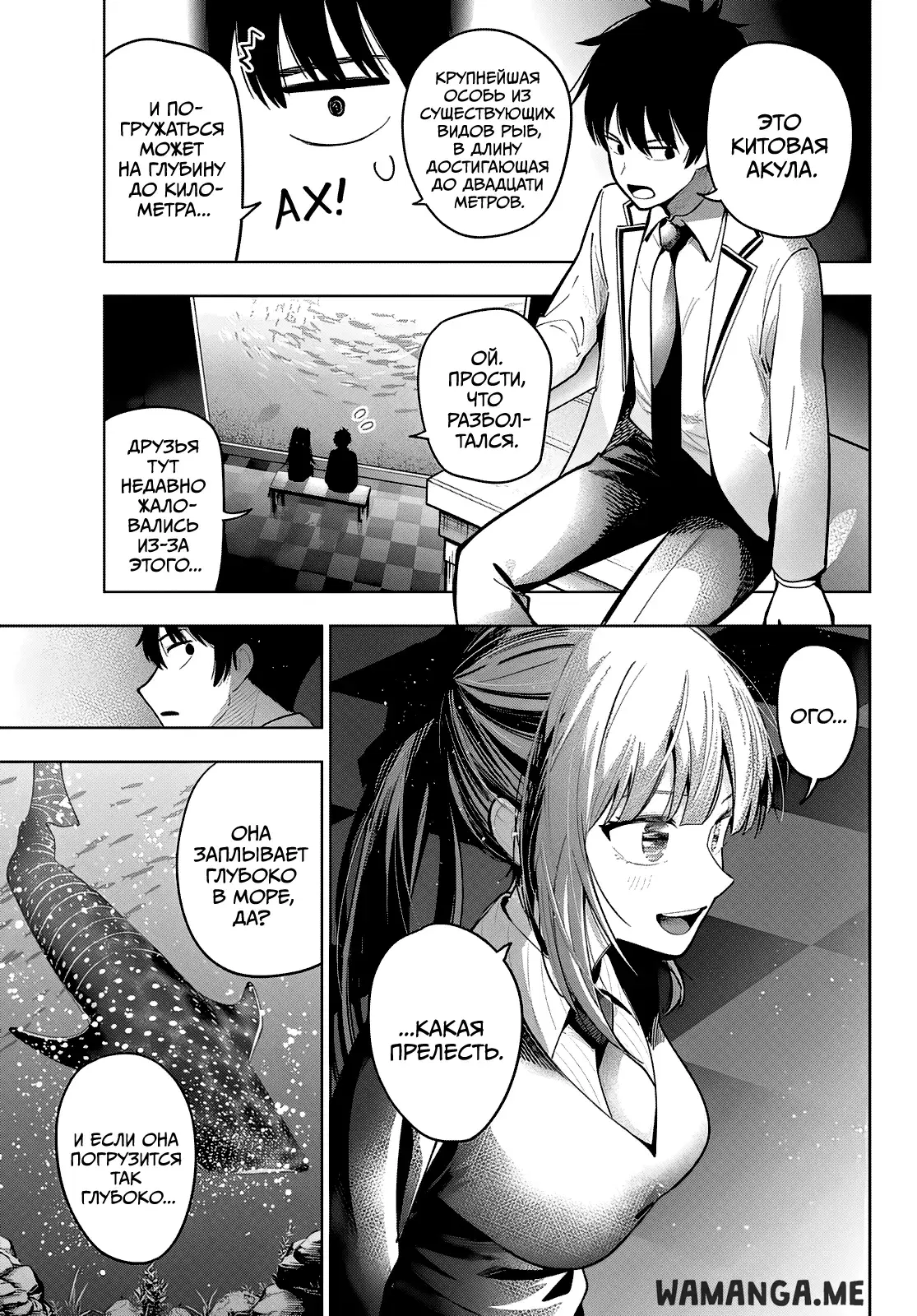Page 13.000
