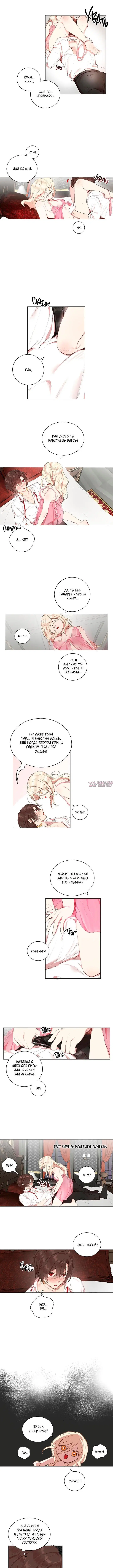 Page 3.000