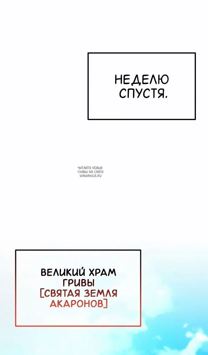 Page 55.000