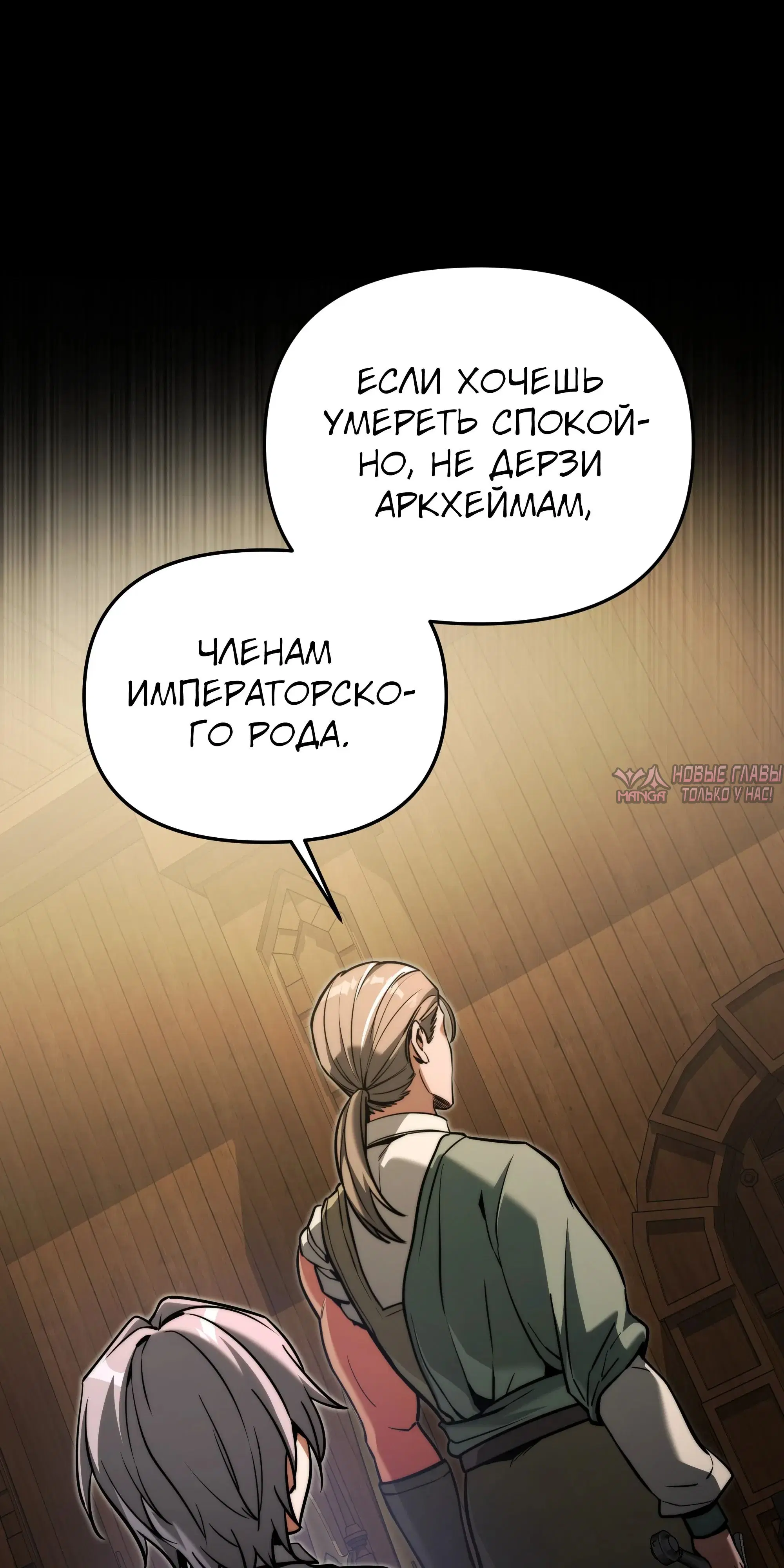 «Ограниченный временем тёмный рыцарь», глава 150, страница 8.000000000
