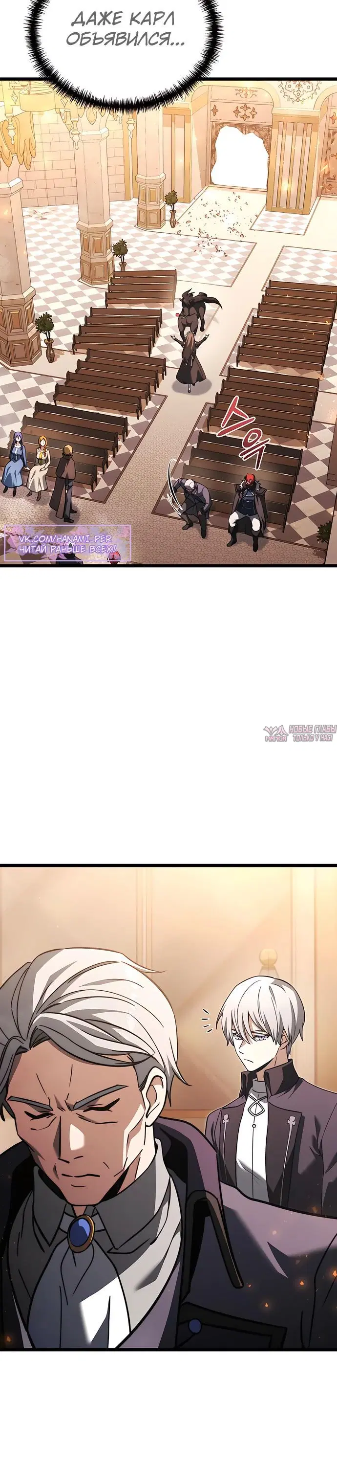 «Ограниченный временем тёмный рыцарь», глава 111, страница 11.000000000