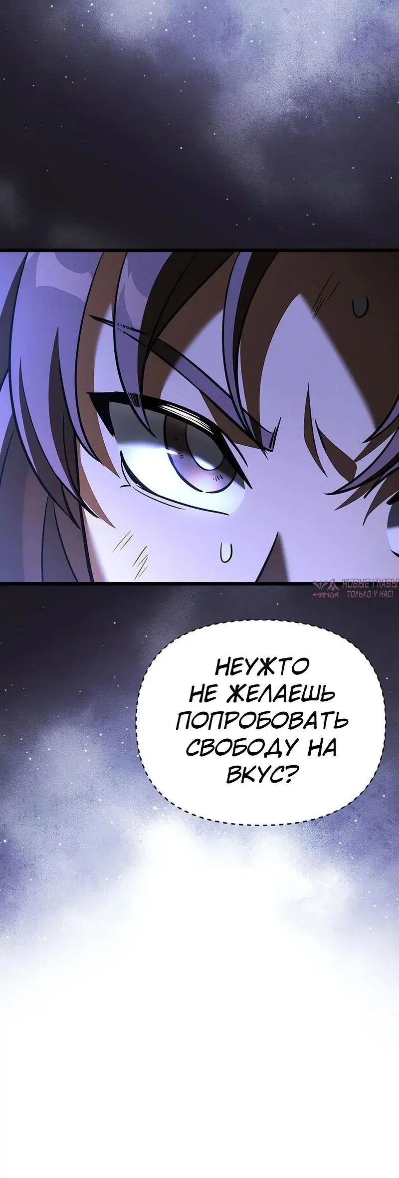 «Ограниченный временем тёмный рыцарь», глава 120, страница 48.000000000
