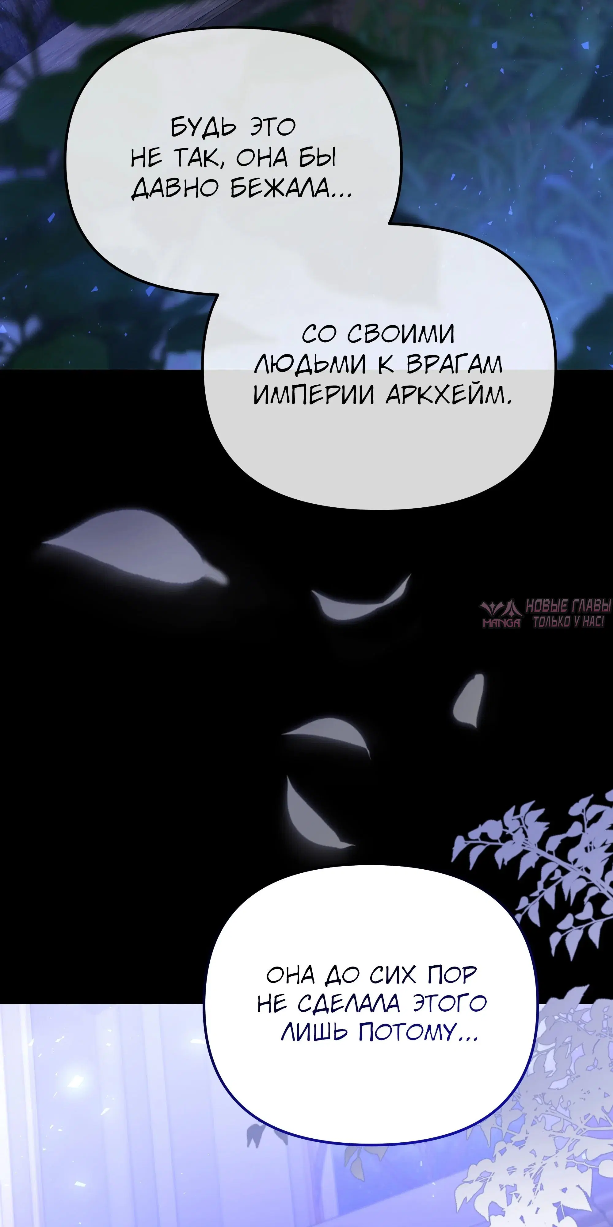«Ограниченный временем тёмный рыцарь», глава 142, страница 76.000000000