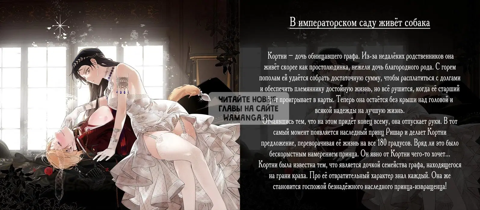Page 41.000
