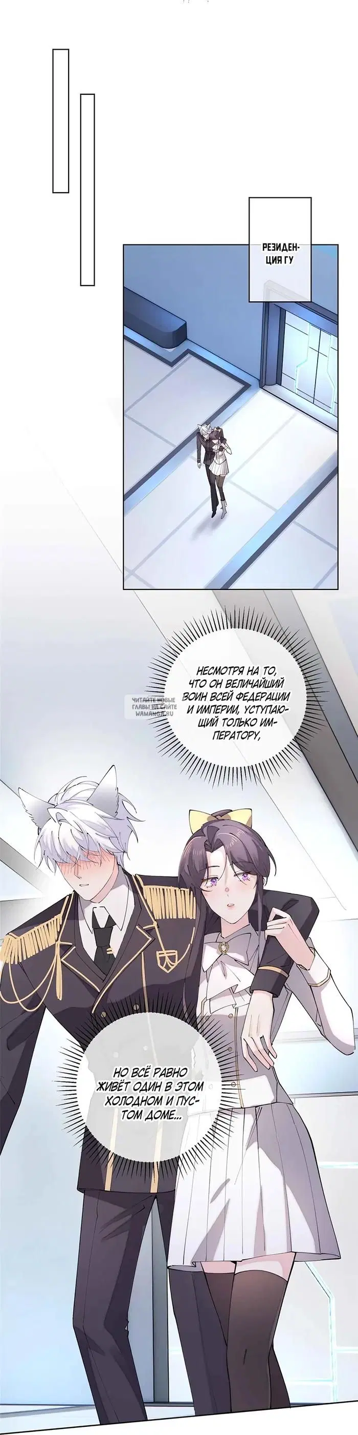Page 3.000