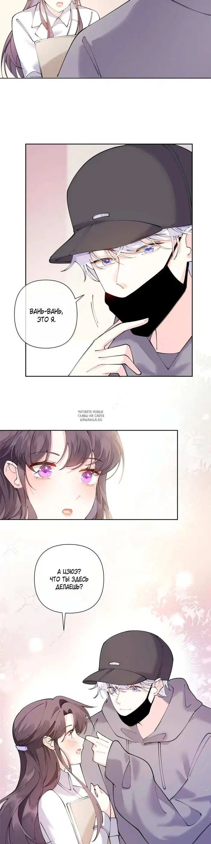 Page 3.000