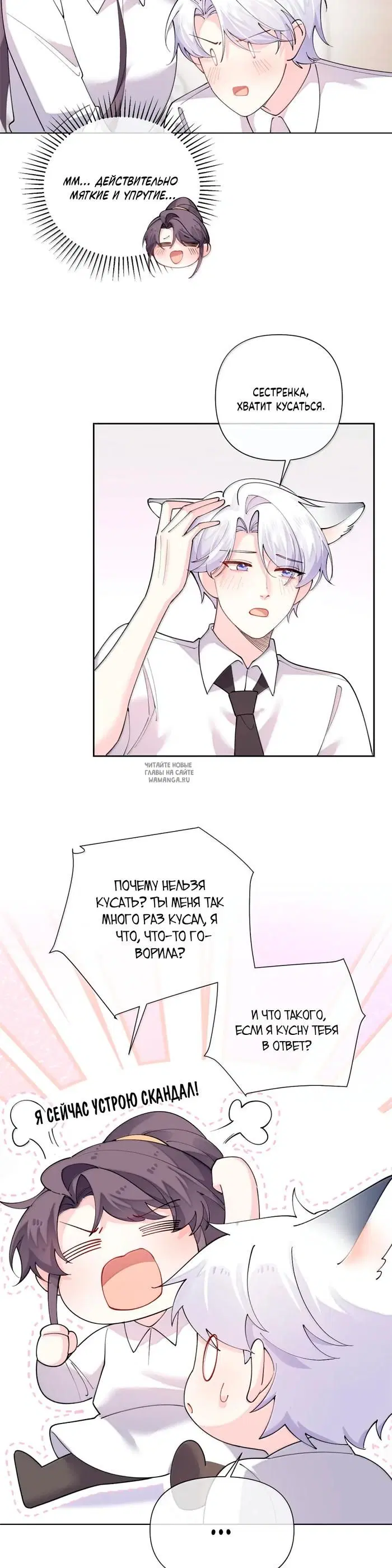 Page 3.000