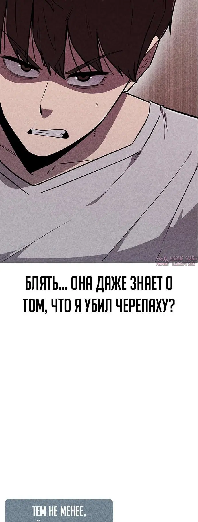 Page 11.000000000