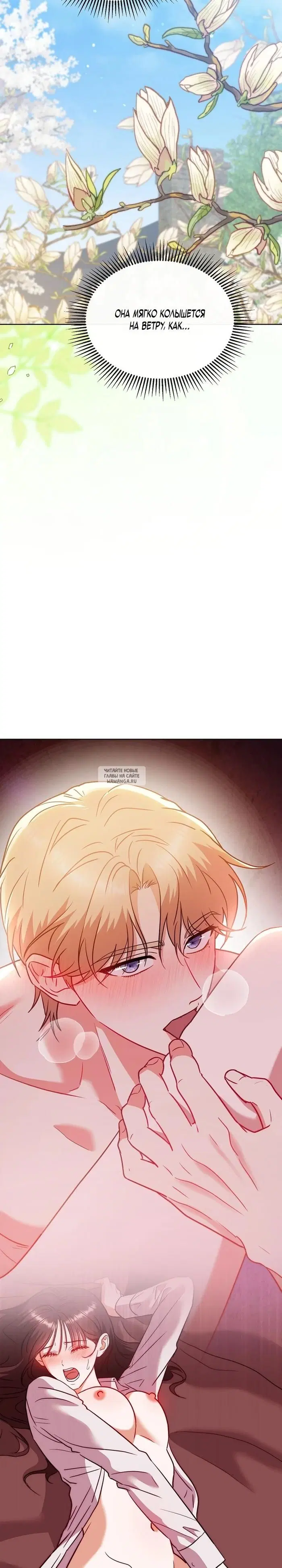 Page 26.000