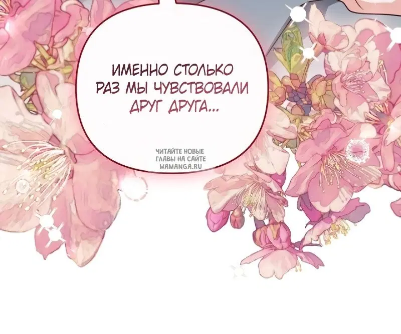 Page 55.000