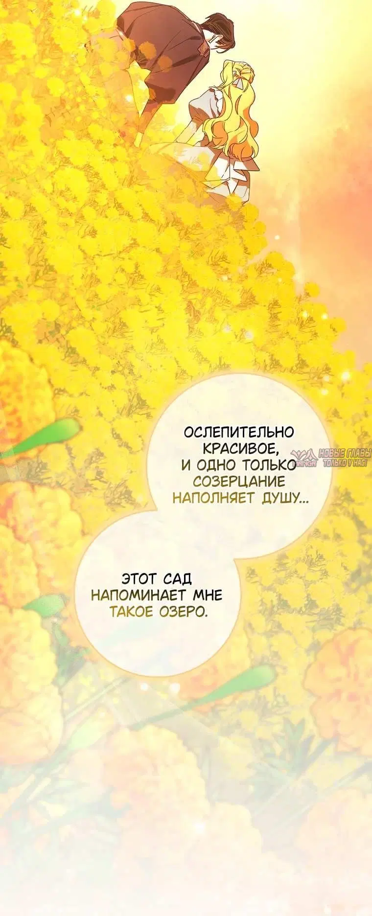 «Эрцгерцог проснулся от чего-то странного», глава 3, страница 7.001000000