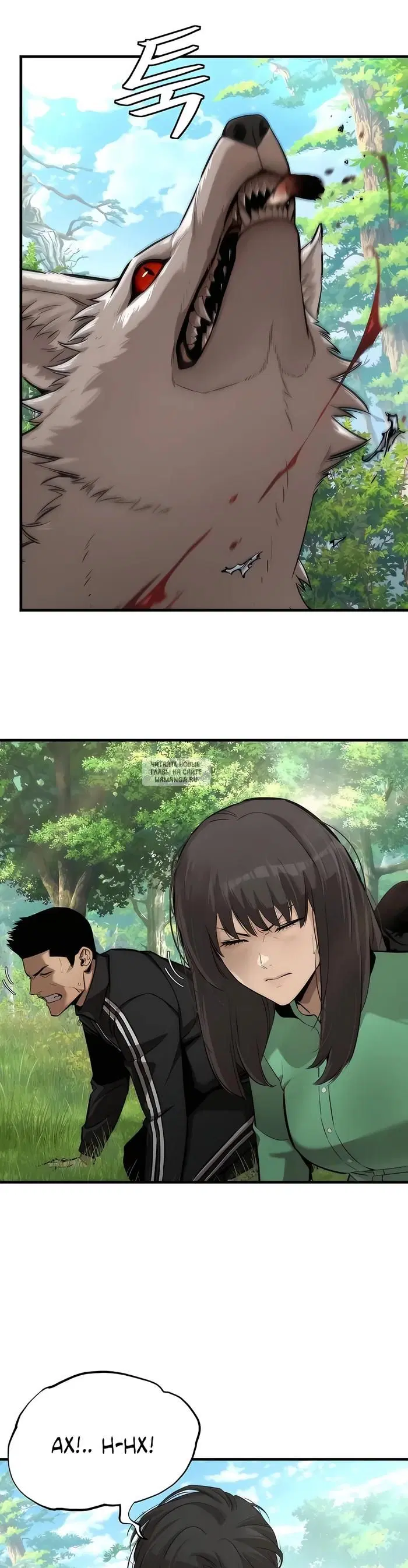 Page 41.000