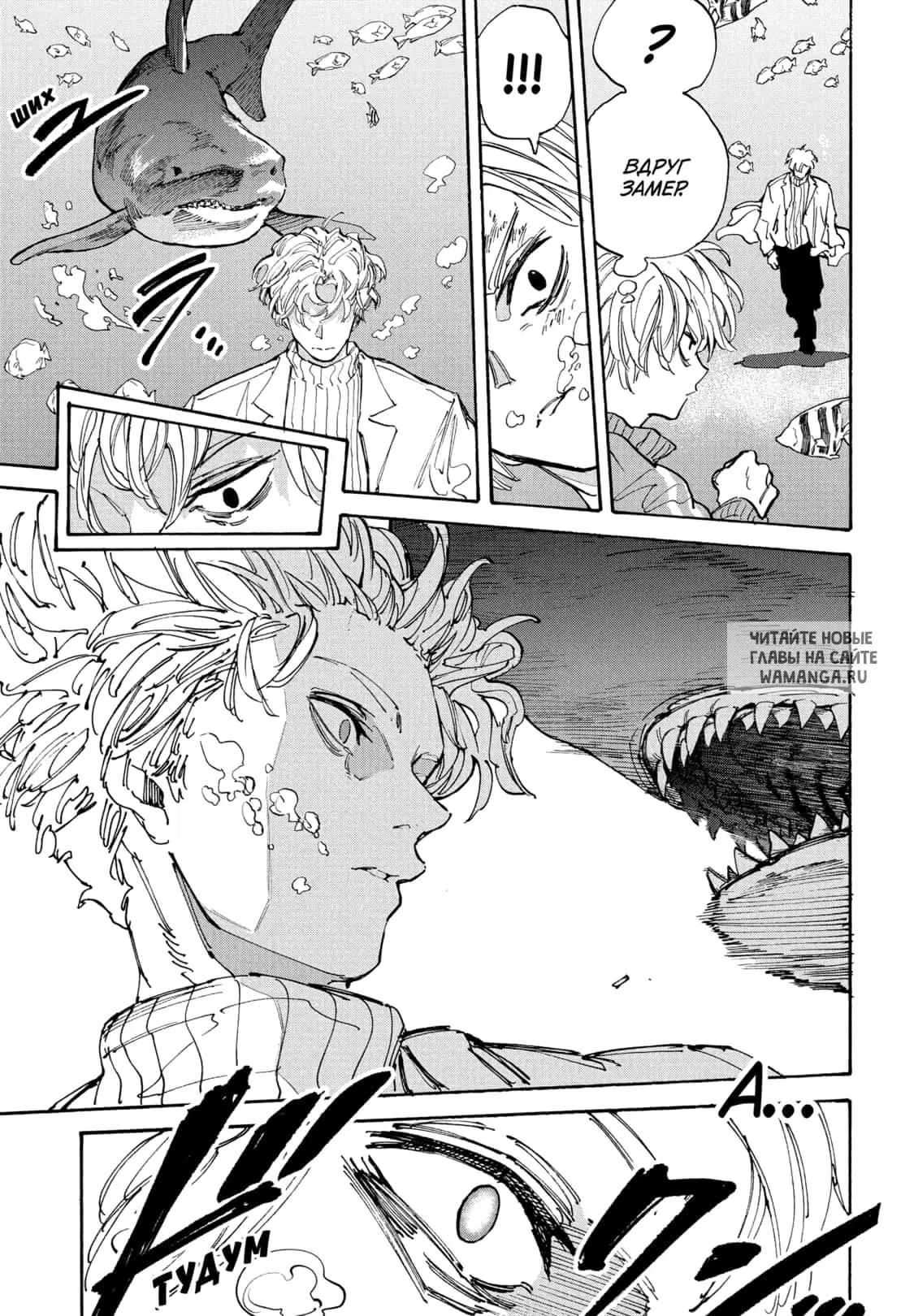 Page 16.000