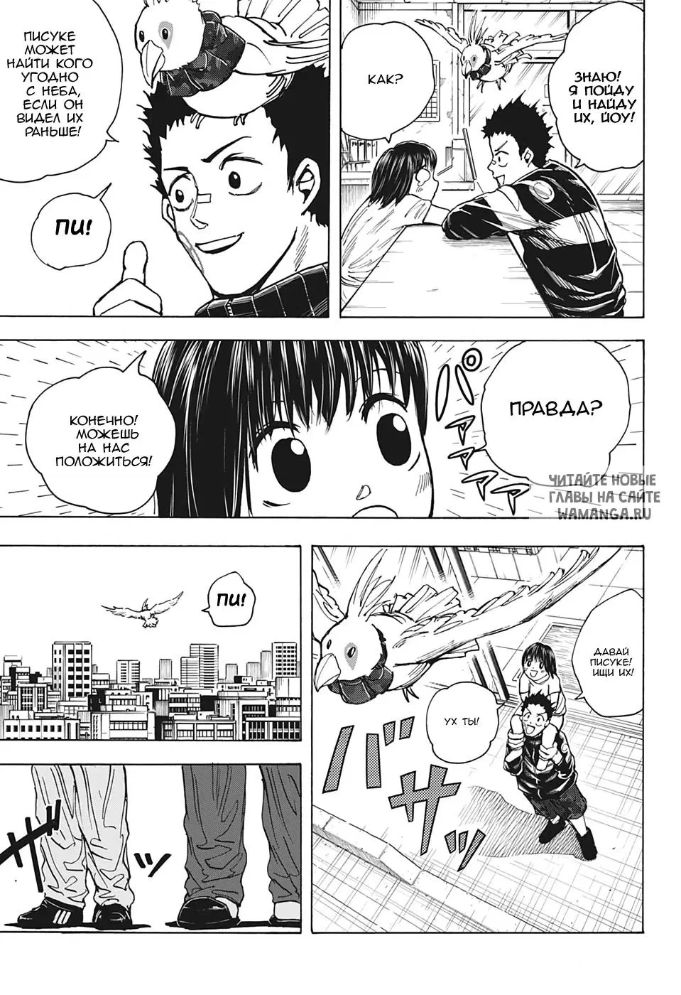 Page 17.000